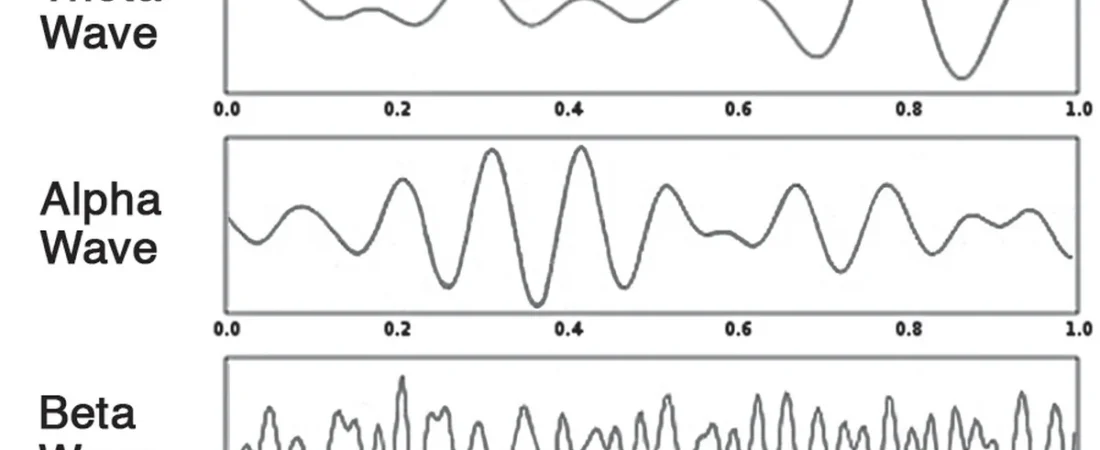 Your Brain Waves Are Not Just for Sleep — They Control How You Perform