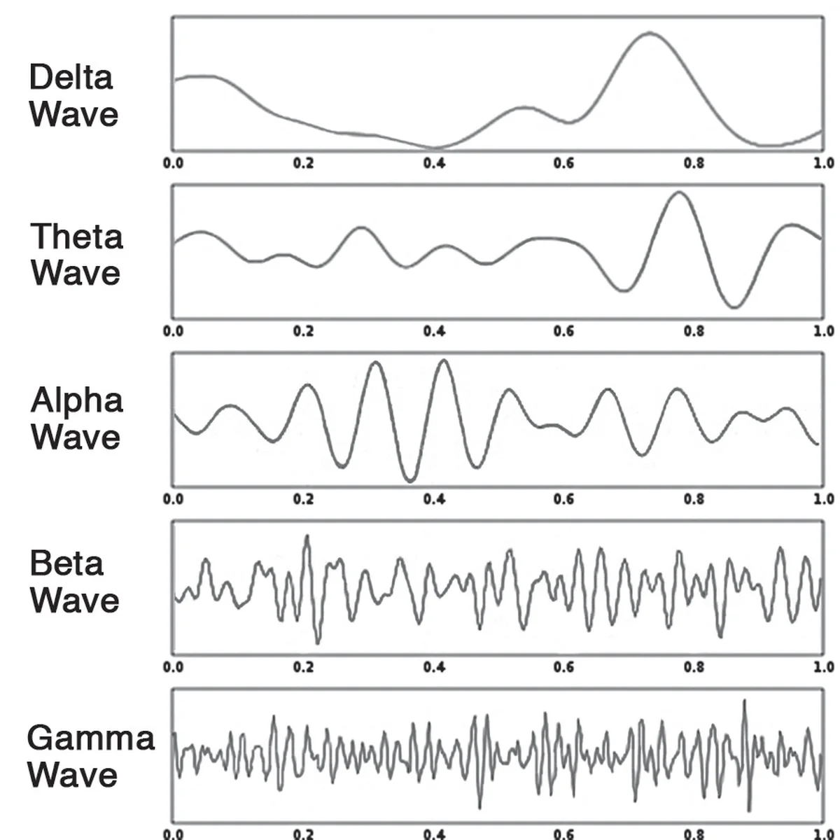 Your Brain Waves Are Not Just for Sleep — They Control How You Perform