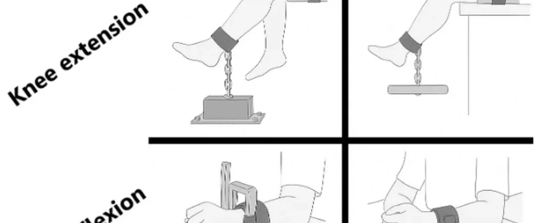 Hold Still: What the Evidence Actually Says About Isometric Training for Strength and Size