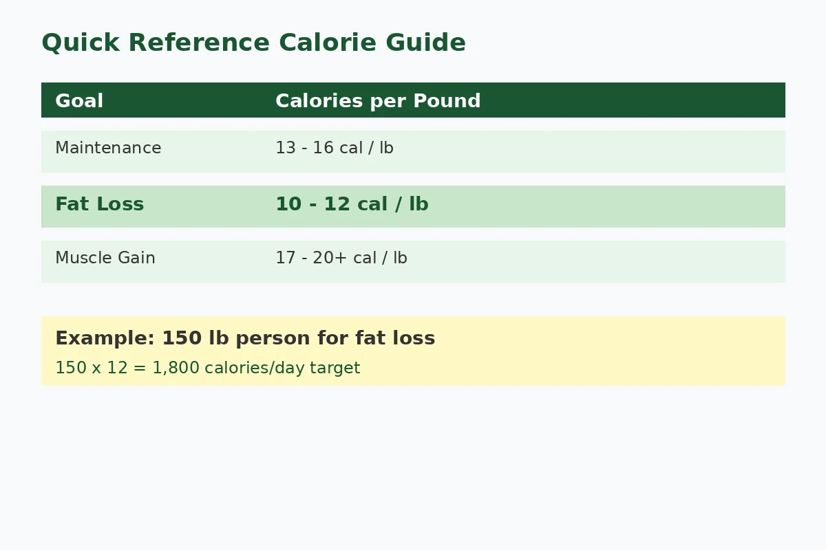 What Is a Calorie Deficit? (And How to Actually Create One) - photo 1
